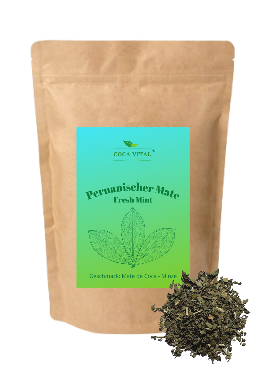 Frische Minzblätter neben Mate Tee.