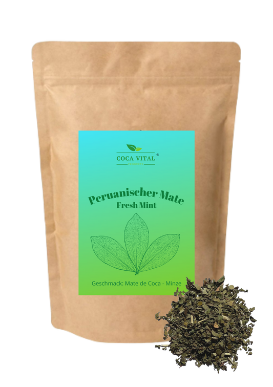 Frische Minzblätter neben Mate Tee.