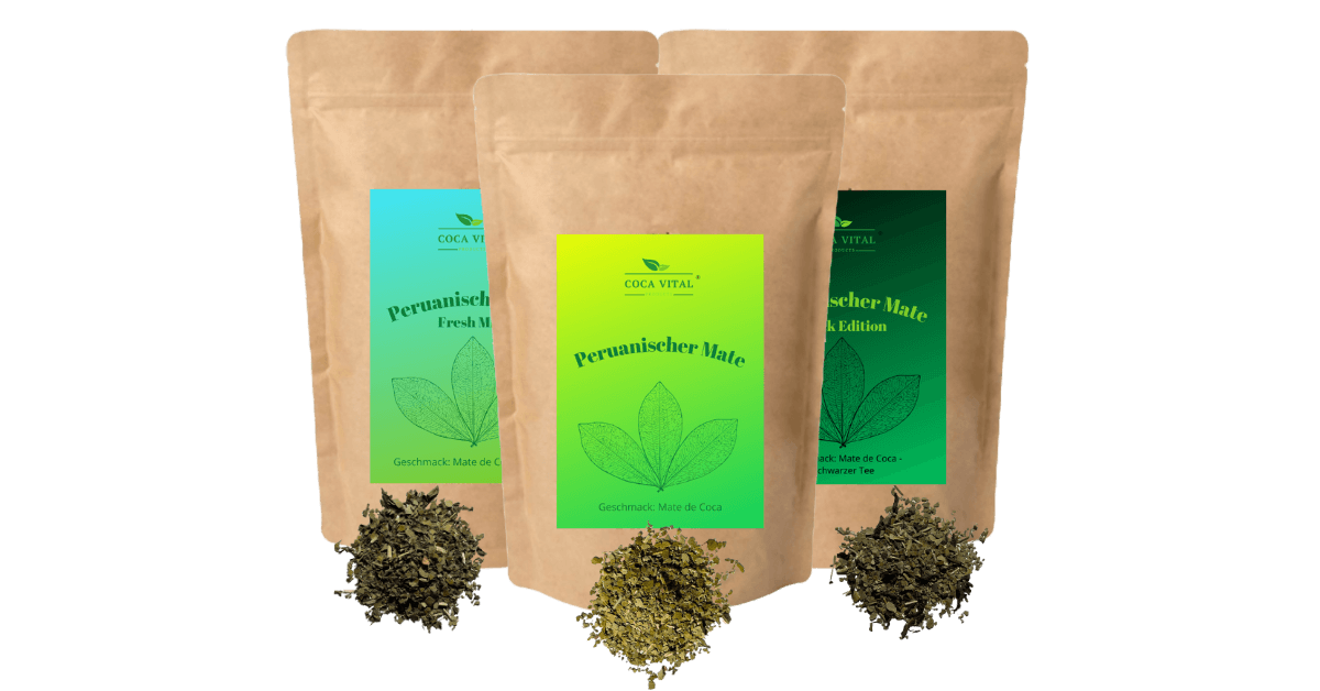 Peruanischer Mate, Fresh Mint und Black Edition in einem Vorteilspaket.
