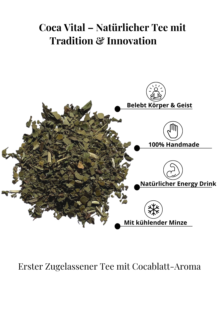 Fresh Mint (Mate de Coca + Menta)